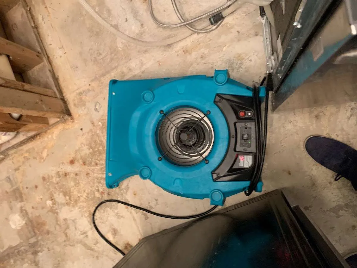 Air mover drying equipment for Mold Remediation & Removal in Lansing